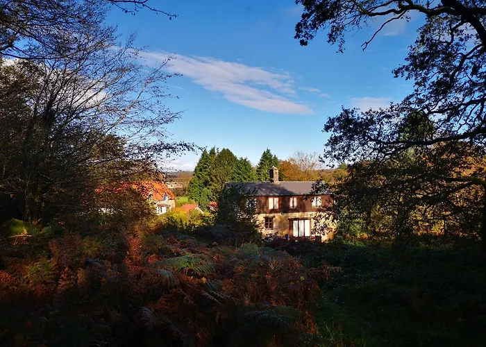 Countryside Reduced Price Until April 2026 Feriehus *